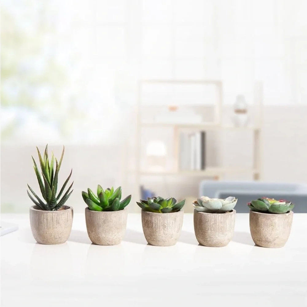 {SHEIN} Jelofly Artificial Succulent Plants Assorted in Gray Pots Set of 5